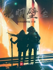 光明壁垒漫画封面图片