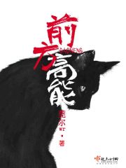 前方高能漫画封面图片